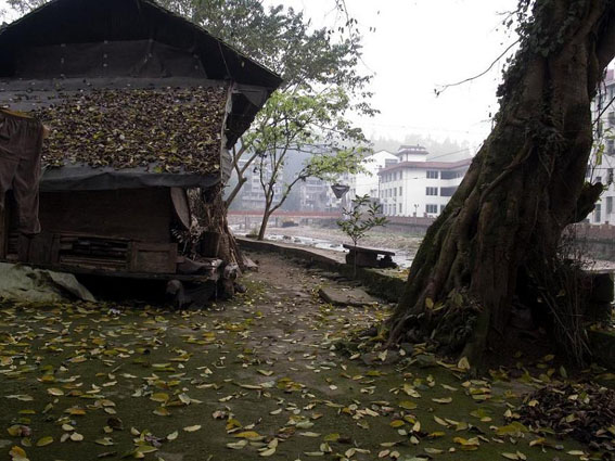 Rivers, Fallen Leaves, and Thatched Cottage